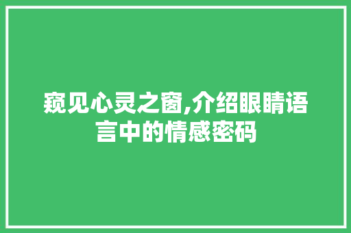 窥见心灵之窗,介绍眼睛语言中的情感密码