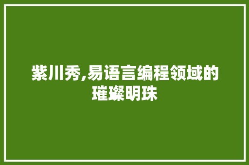 紫川秀,易语言编程领域的璀璨明珠
