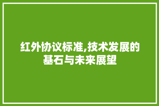 红外协议标准,技术发展的基石与未来展望