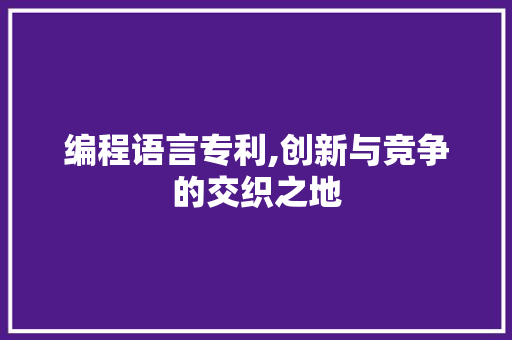 编程语言专利,创新与竞争的交织之地