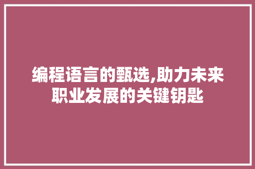 编程语言的甄选,助力未来职业发展的关键钥匙