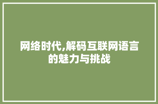 网络时代,解码互联网语言的魅力与挑战 Web前端