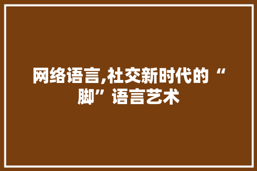 网络语言,社交新时代的“脚”语言艺术