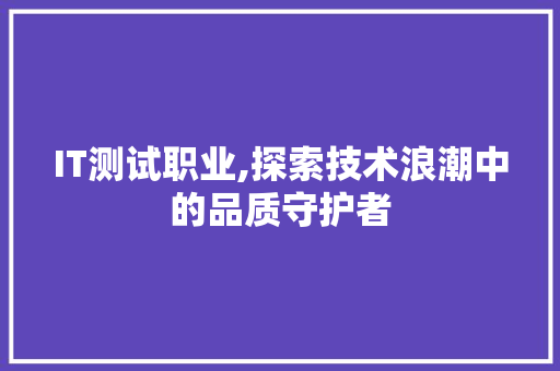 IT测试职业,探索技术浪潮中的品质守护者 SEO教程