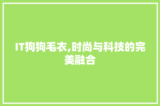 IT狗狗毛衣,时尚与科技的完美融合