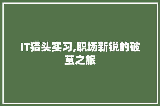 IT猎头实习,职场新锐的破茧之旅