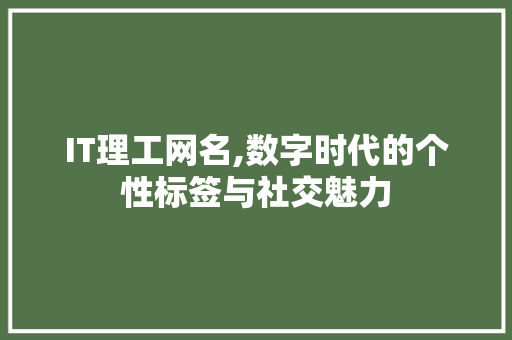 IT理工网名,数字时代的个性标签与社交魅力 Web前端