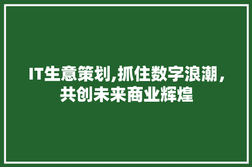 IT生意策划,抓住数字浪潮，共创未来商业辉煌