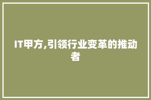 IT甲方,引领行业变革的推动者 建站教程