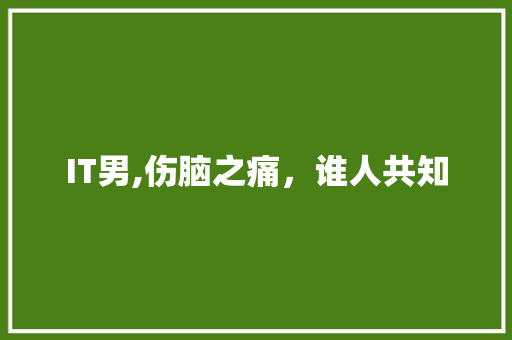 IT男,伤脑之痛，谁人共知
