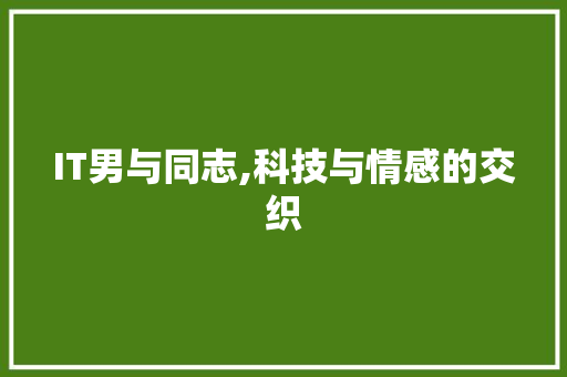 IT男与同志,科技与情感的交织