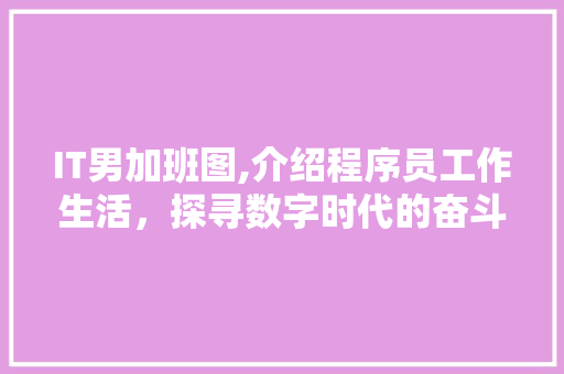IT男加班图,介绍程序员工作生活，探寻数字时代的奋斗与牺牲 WordPress教程