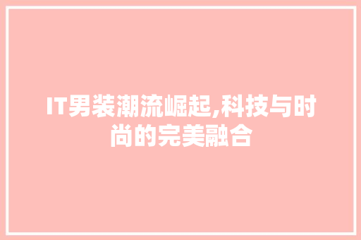IT男装潮流崛起,科技与时尚的完美融合 建站教程