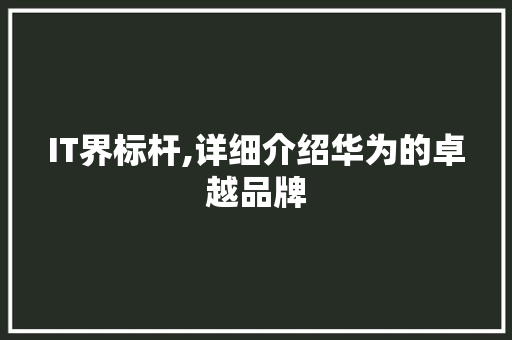IT界标杆,详细介绍华为的卓越品牌 建站教程