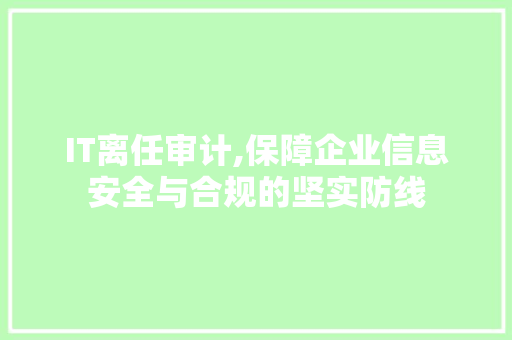 IT离任审计,保障企业信息安全与合规的坚实防线