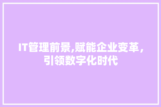 IT管理前景,赋能企业变革，引领数字化时代