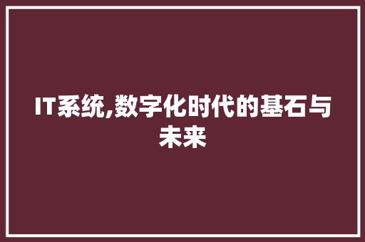 IT系统,数字化时代的基石与未来