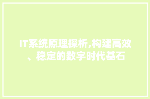IT系统原理探析,构建高效、稳定的数字时代基石 建站教程