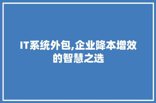 IT系统外包,企业降本增效的智慧之选