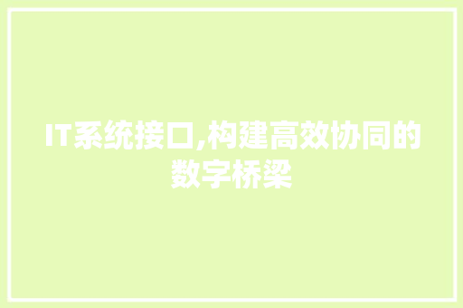 IT系统接口,构建高效协同的数字桥梁