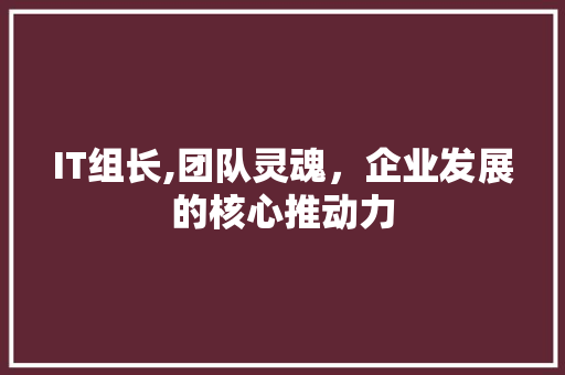 IT组长,团队灵魂，企业发展的核心推动力 建站教程