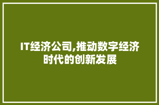 IT经济公司,推动数字经济时代的创新发展 友链在线