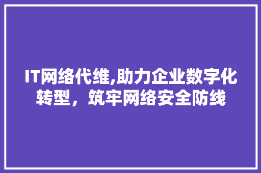 IT网络代维,助力企业数字化转型，筑牢网络安全防线