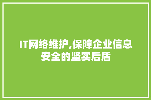 IT网络维护,保障企业信息安全的坚实后盾 建站教程
