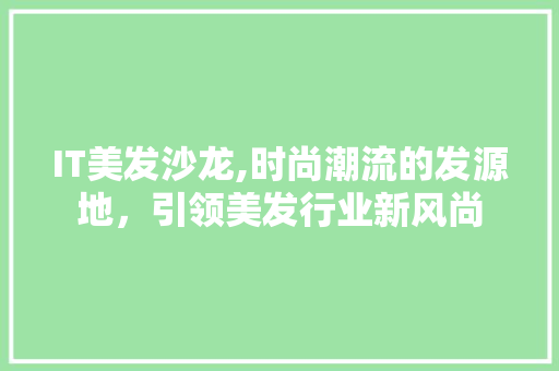 IT美发沙龙,时尚潮流的发源地，引领美发行业新风尚