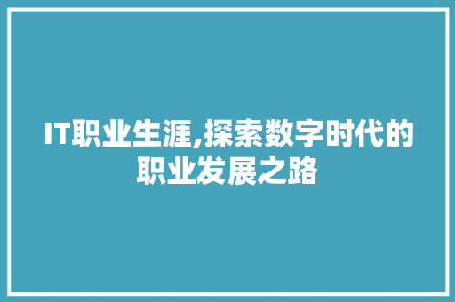 IT职业生涯,探索数字时代的职业发展之路