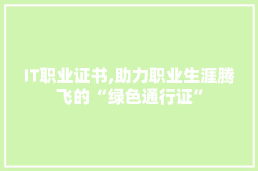 IT职业证书,助力职业生涯腾飞的“绿色通行证”
