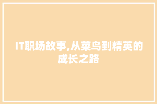 IT职场故事,从菜鸟到精英的成长之路