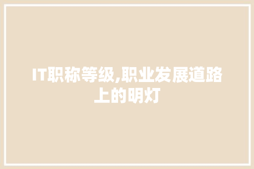 IT职称等级,职业发展道路上的明灯