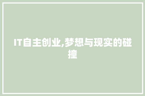 IT自主创业,梦想与现实的碰撞