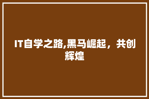 IT自学之路,黑马崛起，共创辉煌 建站教程