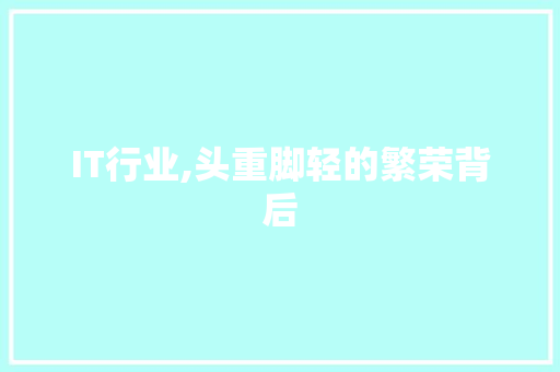 IT行业,头重脚轻的繁荣背后 服务器/数据库