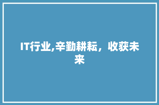 IT行业,辛勤耕耘，收获未来