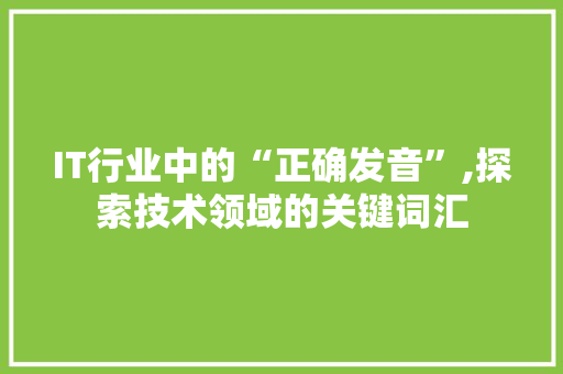 IT行业中的“正确发音”,探索技术领域的关键词汇 友链在线