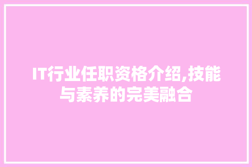 IT行业任职资格介绍,技能与素养的完美融合