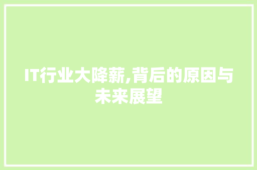 IT行业大降薪,背后的原因与未来展望 服务器/数据库