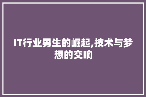 IT行业男生的崛起,技术与梦想的交响 SEO教程