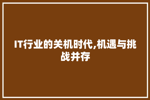 IT行业的关机时代,机遇与挑战并存 SEO教程