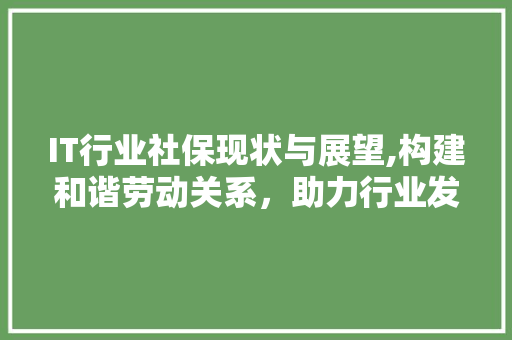 IT行业社保现状与展望,构建和谐劳动关系，助力行业发展