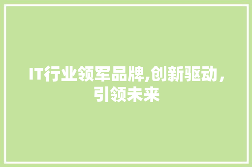 IT行业领军品牌,创新驱动，引领未来