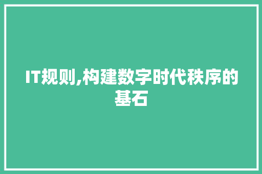 IT规则,构建数字时代秩序的基石
