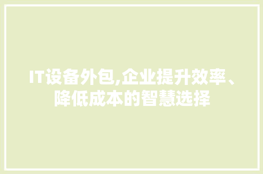 IT设备外包,企业提升效率、降低成本的智慧选择