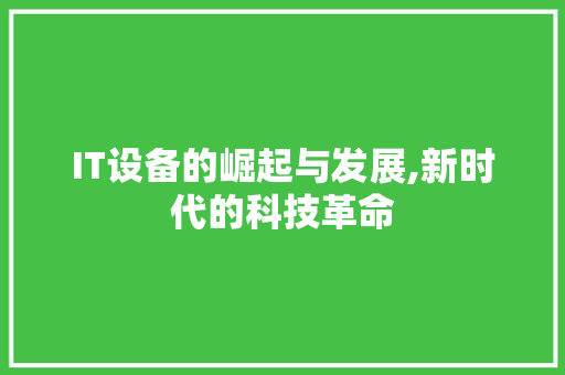 IT设备的崛起与发展,新时代的科技革命