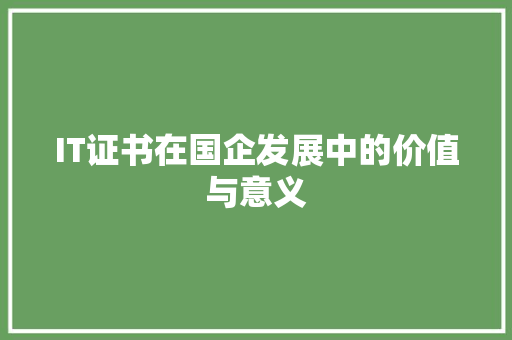 IT证书在国企发展中的价值与意义