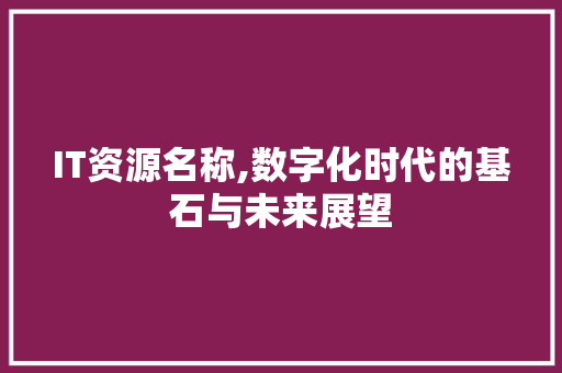 IT资源名称,数字化时代的基石与未来展望