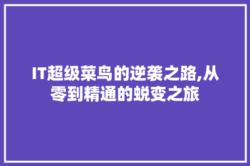 IT超级菜鸟的逆袭之路,从零到精通的蜕变之旅 SEO教程